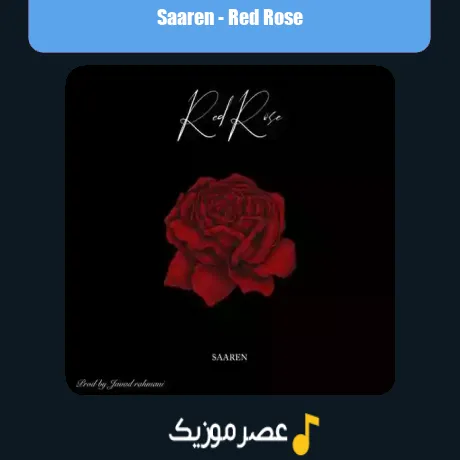 Saaren-Red Rose