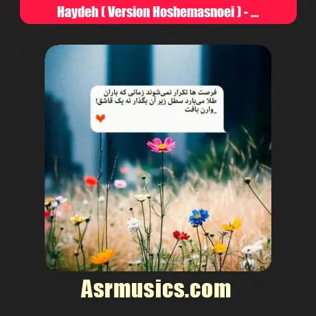 Haydeh ( Version Hoshemasnoei )-Jonam Omram Zendegi Sarabe (Remix)